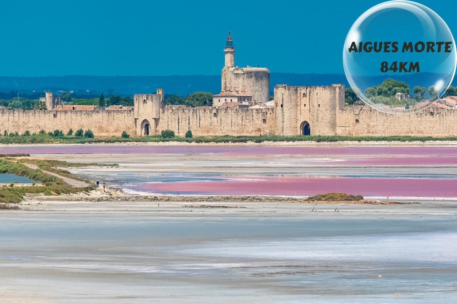 Le Cosy Du Gal, A 2 Pas Du Palais Des Papes Parking Gratuit Securise Apartment Avignon Exterior photo