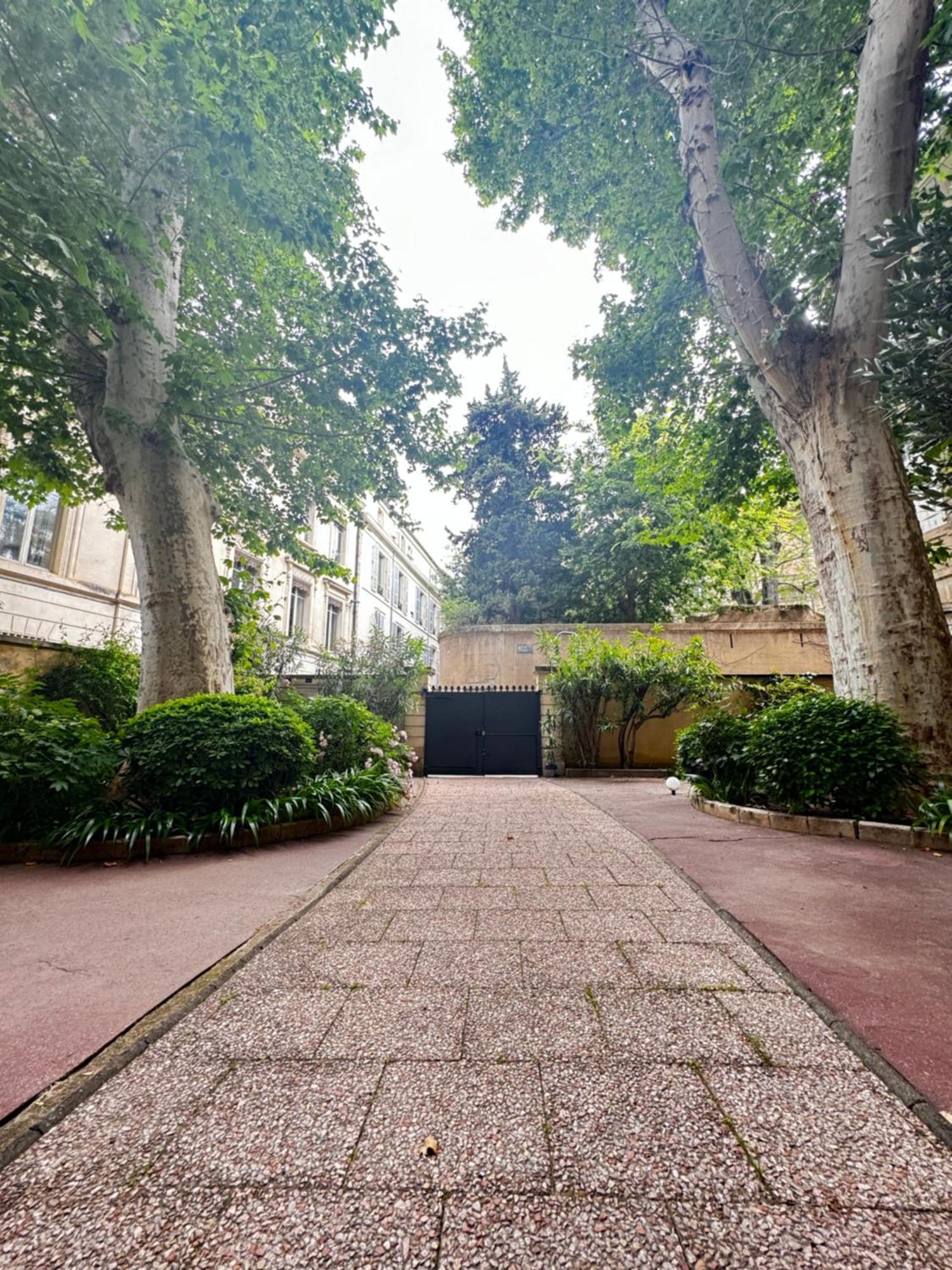 Le Cosy Du Gal, A 2 Pas Du Palais Des Papes Parking Gratuit Securise Apartment Avignon Exterior photo